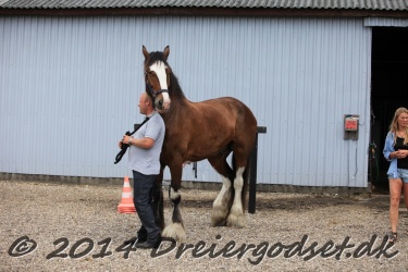 blandet-021