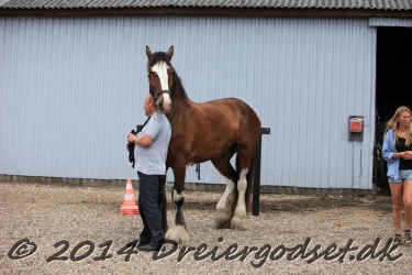 blandet-022