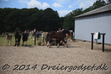 blandet-033