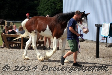 blandet-038