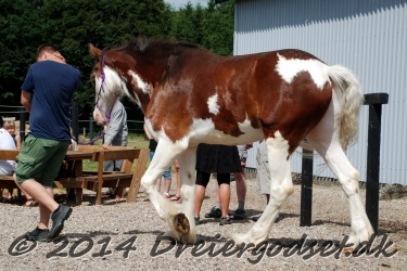DSC 1755