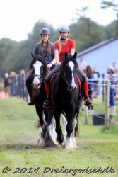 galop p   tid