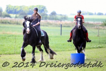 galop p   tid 003