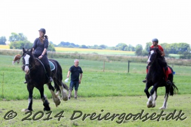 galop p   tid 004