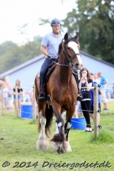 galop p   tid 005