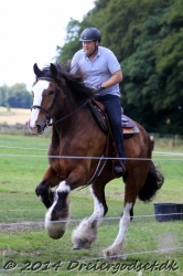 galop p   tid 007
