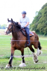 galop p   tid 008
