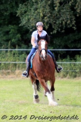 galop p   tid 009