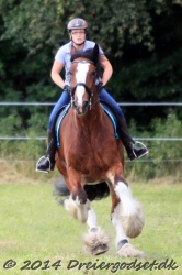 galop p   tid 010