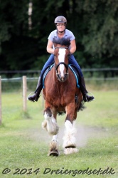 galop p   tid 011