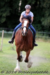 galop p   tid 012