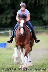 galop p   tid 013