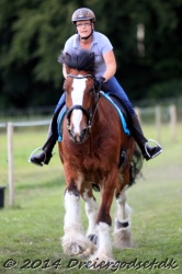galop p   tid 015