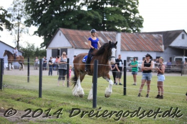 galop p   tid 016