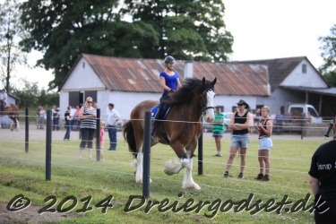 galop p   tid 017