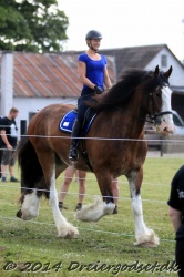 galop p   tid 018