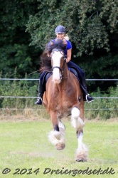 galop p   tid 019