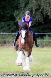 Galop på tid