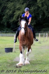 galop p   tid 022