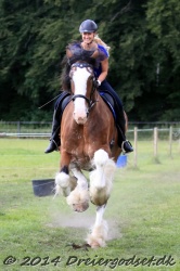 galop p   tid 023