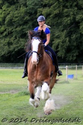 galop p   tid 025
