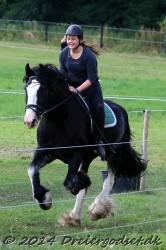 galop p   tid 028