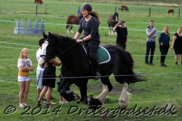 galop p   tid 029