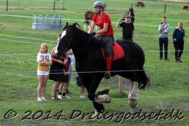 galop p   tid 031