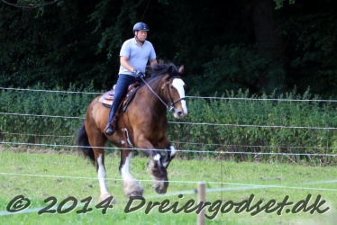 galop p   tid 033