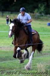 galop p   tid 034