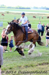 galop p   tid 035