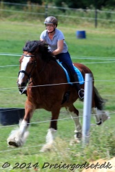 galop p   tid 037