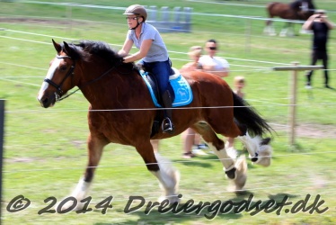 galop p   tid 038