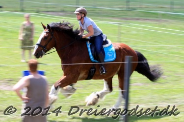 galop p   tid 039