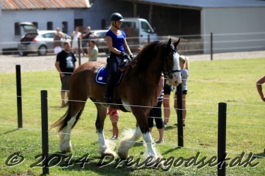 galop p   tid 040