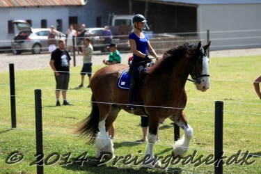 galop p   tid 041