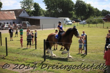 galop p   tid 042