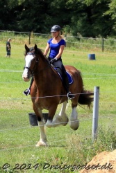 galop p   tid 043