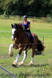galop p   tid 044