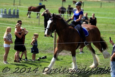 galop p   tid 045