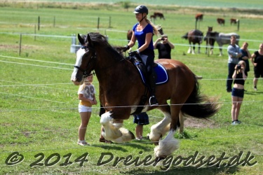 galop p   tid 046