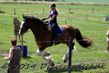 galop p   tid 048
