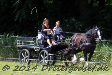 galop p   tid 049