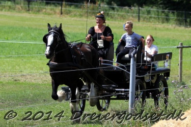 galop p   tid 052