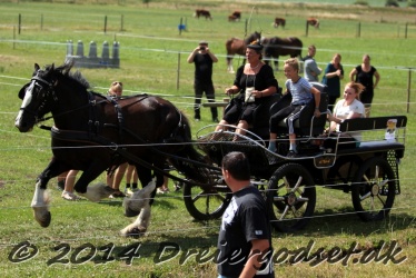 galop p   tid 055