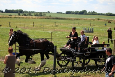 galop p   tid 056