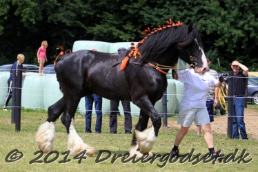 Helms kingdom Gabriel 052