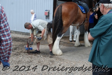 DSC 1790