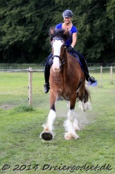 galop p   tid 024