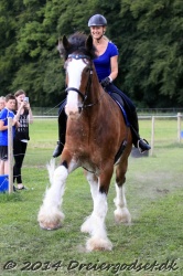 galop p   tid 026